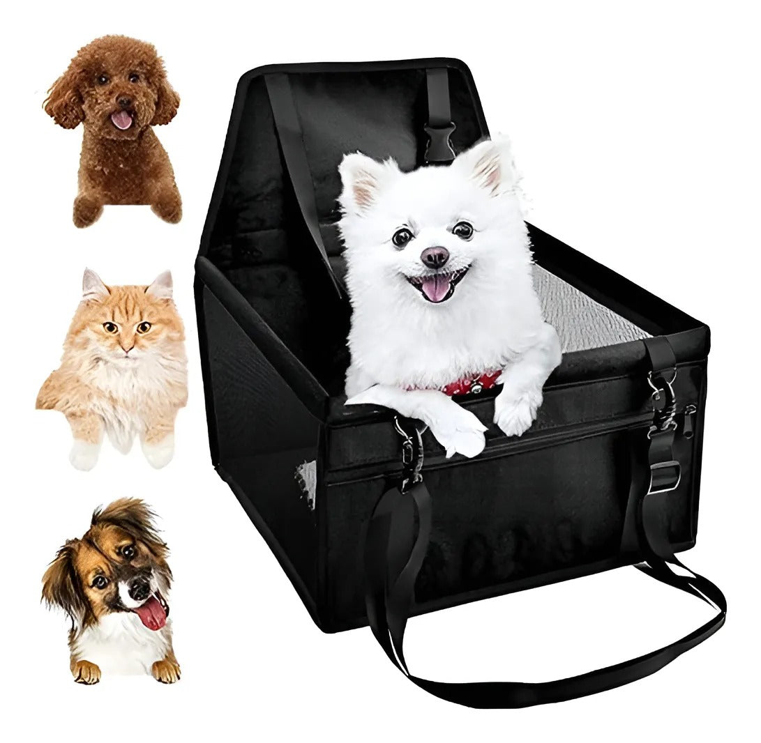 No mas impedimentos para viajar con tu mejor amigo