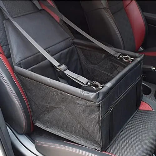 No mas impedimentos para viajar con tu mejor amigo